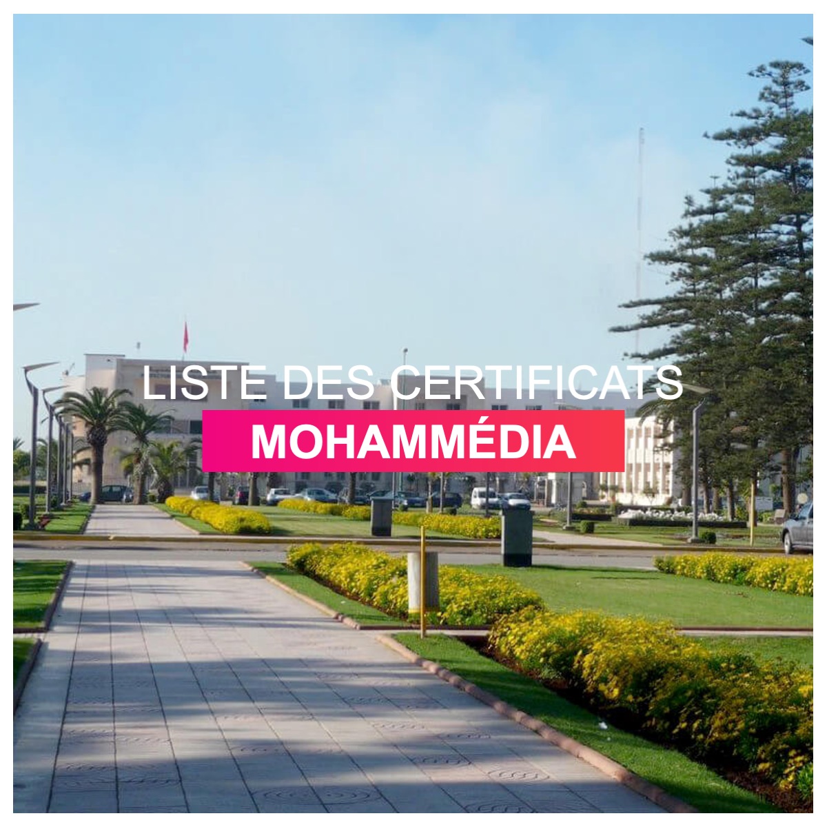 Liste des certificats Mohammedia l Dates-concours.ma