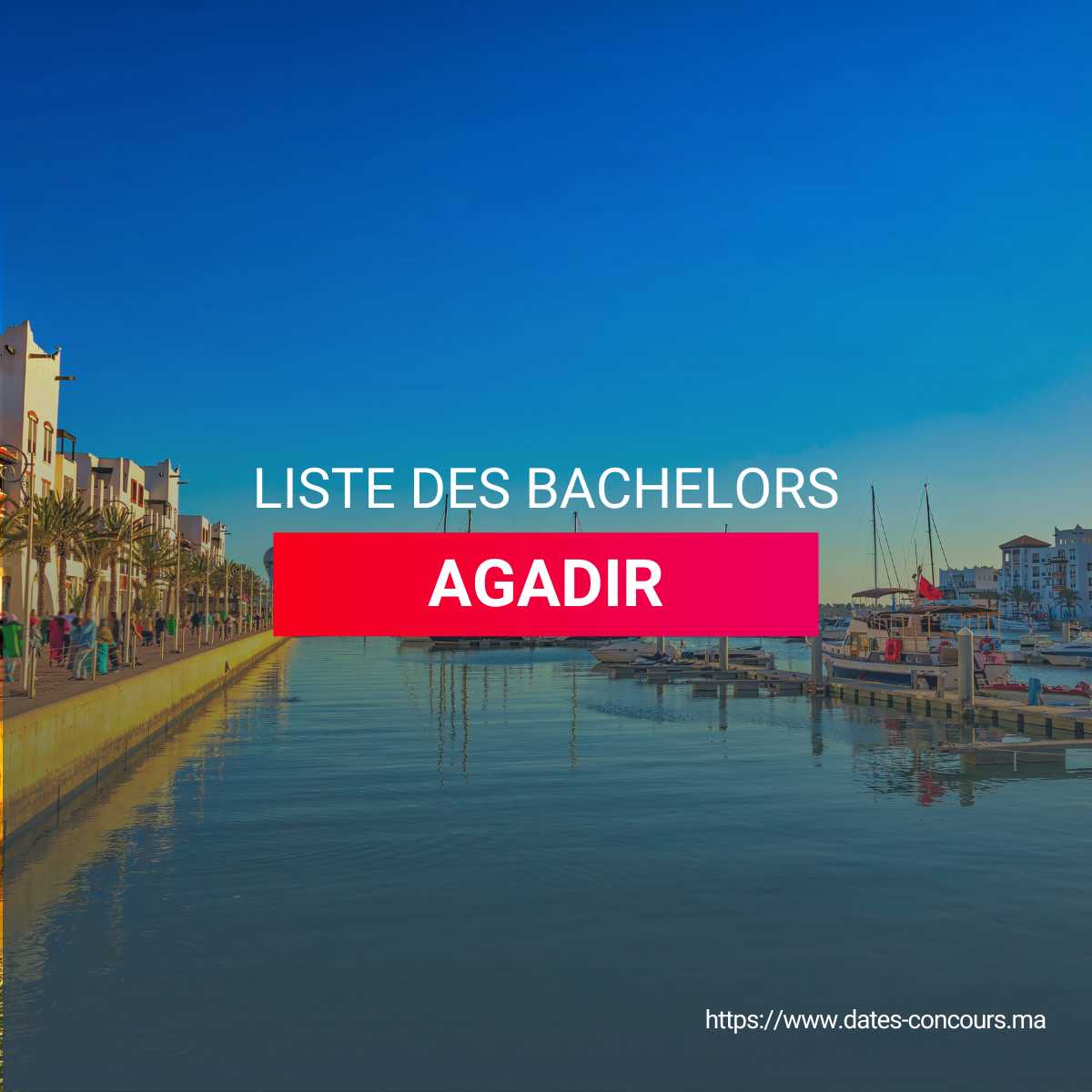 LISTE DES BACHELORS AGADIR I DATESCONCOURS.MA