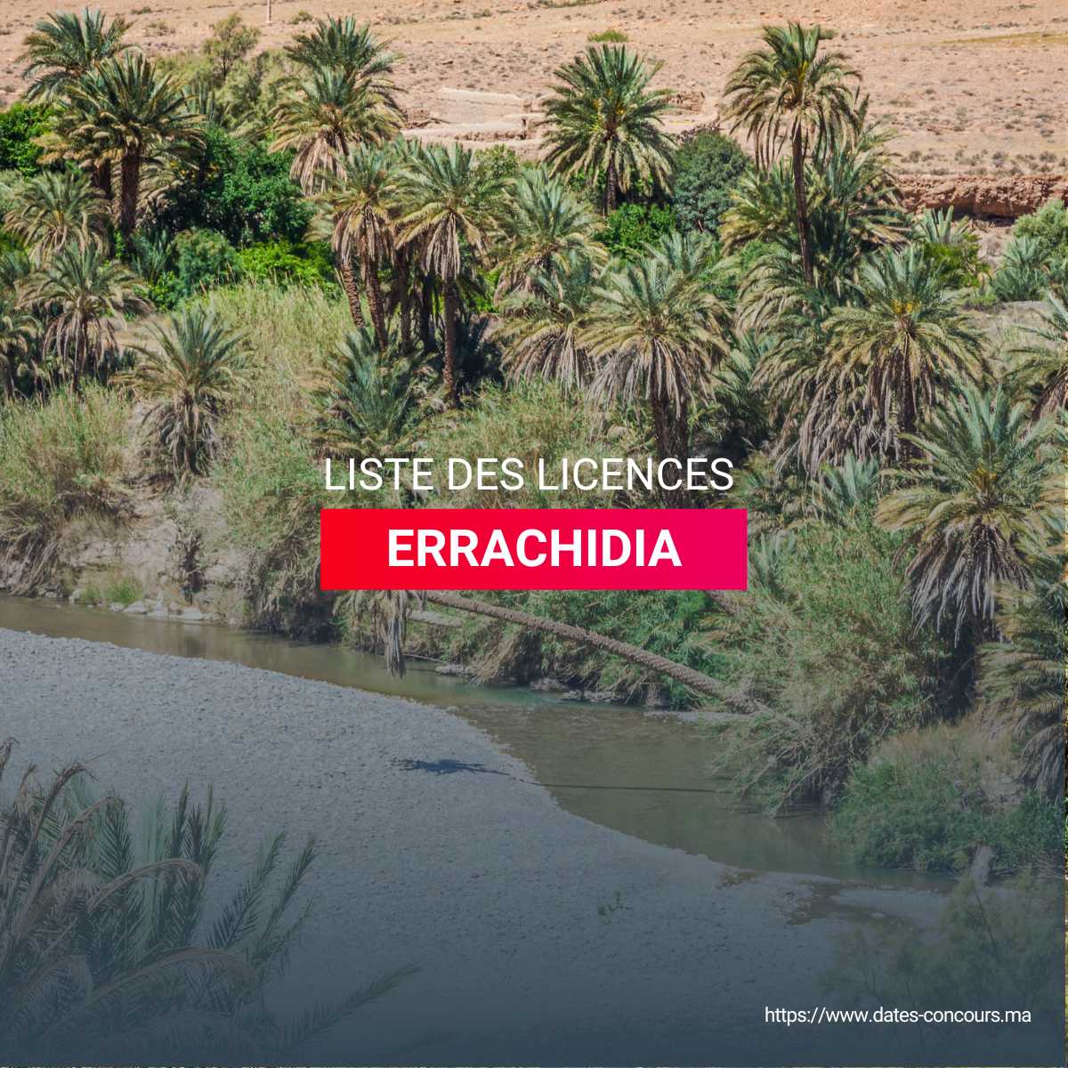 LISTE DES LICENCES ERRACHIDIA I DATESCONCOURS.MA