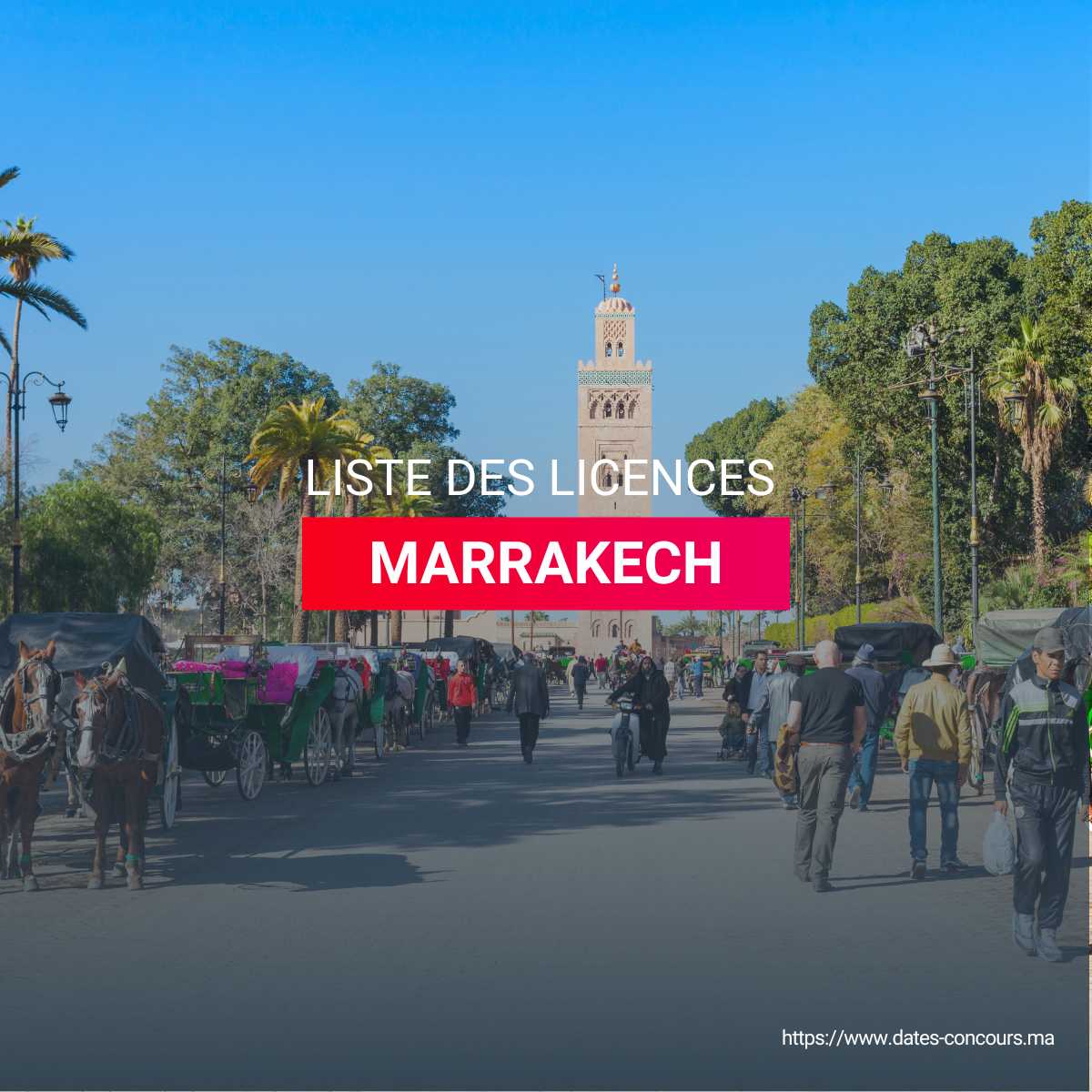 LISTE DES LICENCES MARRAKECH I DATESCONCOURS.MA